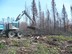 Cyclofor's answer to fire stand salvaging